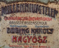1910 Nagyősz (Bánság) Millennium Telep szőlőoltvány iskola fém reklám tábla, dombornyomott, kissé kopott, 25x32 cm + Szőlőkedvelők lapja VI. évf. mutatványszáma címlapján Millennium Telep reklámmal, 24 p.