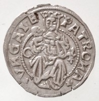 1526. Denár Ag 'II. Lajos' kassai veret (0,54g) T:1-,2 / 
Hungary 1526. Denar Ag 'Louis II' Kosice mint (0,54g) C:AU,XF
Huszár: 841., Unger I.: 673.i