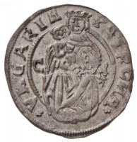 1529. Denár Ag 'I. Ferdinánd' (0,58g) T:2 / 
Hungary 1529. Denar Ag 'Ferdinand I' (0,58g) C:XF
Huszár: 943., Unger II.: 744.d