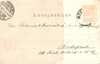 1899 Szekszárd, Garay tér, Törvényszéki épület, Gimnázium, Széchenyi utca. Kapható Báter Jánosnál, floral, Art Nouveau, litho (kis sarokhiány / small corner shortage)
