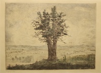 Gross Arnold (1929 - 2015): Magányos tölgy, 1950-es évek, rézkarc, szignált, 28,5 x  39