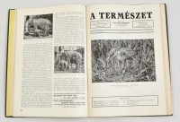 1942 A természet. Szerk.: Nadler Herbert. 1942. január-december, XXXVIII. évf. 1-12. szám. Teljes évfolyam. Bp., Budapest Székesfőváros Házinyomdája-ny., 144+4 p. Szövegközti fekete-fehér képekkel illusztrálva. Kiadói aranyozott
