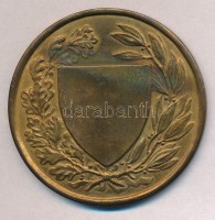 Berán Lajos (1882-1943) 1926. 'Országos Testnevelési Tanács' Br emlékérem (60mm) T:2