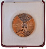 Csíkszentmihályi Róbert (1940-) 1986. 'Eötvös Loránd-díj' Br érem, eredeti tokban (67mm) T:1-