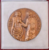 Kampfl József (1938- ) 1992. 'Pro Sanitate' Br plakett, eredeti tokban (96mm) T:1-