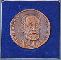 Renner Kálmán (1927-1994) 1971. 'Than Károly 1834-1908 / A magyar gyógyszerkönyv centenáriumára 1971 - Magyar Gyógyszerészeti Társaság' Br emlékérem dísztokban (88mm) T:1-
