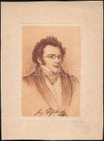 Robert Aust (?-?): Franz Schubert. Rézkarc, papír, jelzett, 16×11 cm