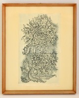 Bencze Klári (1925 -) : Kócos délia. Rézkarc, papír, jelzett, üvegezett keretben, 41×24 cm