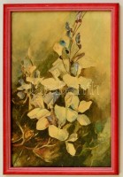 Sidó Géza (?-?): Magnólia. Akvarell, papír, üvegezett keretben, foltos, 30×20 cm