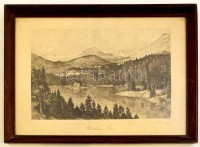 Carl Strauss (1873-1957): Waldhaus Flims. Rézkarc, papír, jelzett a karcon, gyűrődéssel, üvegezett keretben 20×30 cm