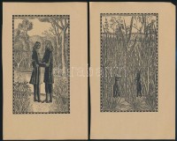 cca 1900 Rosa Engel 15 db litográfia, kőnyomat. Egy történet 15 képben. / 15 Lithographic image. Page sizes: 14x22 cm