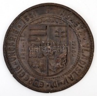 Címeres festett gipsz plakett, 'Moneta Vladislai D. E. Regie Ungarie' körirattal, szélén kis lepattanásokkal, d: 27 cm