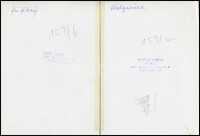 cca 1970 Képi párhuzamok, Botta Dénes (1921-2010) budapesti fotóművész hagyatékából 2 db pecséttel jelzett, feliratozott, vintage fotó (Halgerinc és fűféleség), 18x13 cm