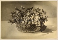 cca 1930 Virágcsendélet. Kaksa Rajmund tatai fényképész fotója. Hagyatékából.23x17 cm