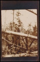 1917 Húsvét utáni barátkozások, front fotólap, hátulján feliratozva, 14×9 cm