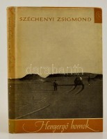 Széchényi Zsigmond: Hengergő homok. Sivatagi vadásznapló. Bp., 1964, Szépirodalmi Könyvkiadó. Fekete-fehér fotókkal illusztrált. Kiadói félvászon kötés, kiadói papír védőborítóban.