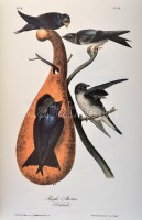 Audubon, John James: Die Vögel Amerikas. [Hannau], [1994], Werner Dausien. Műbőr kötésben, papír védőborítóval, jó állapotban.