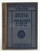 Wilhelm Bölsche: A bacillustól a majomemberig. Fordította dr. Pogány József. Természettudományi Könyvtár. Bp, 1910, Athenaeum Irodalmi és Nyomdai Rt. Kiadói egészvászon kötés, kopottas.