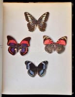 Fliegende Kleinodien. Ein Farbiges Falterbuch. Szerk.: J.E. Schuler. Stuttgart,1995, Schuler-Verlag. Német nyelven. Kiadói egészvászon-kötés, kiadói szakadt papír védőborítóban.