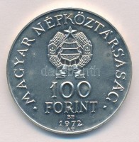 1972. 100Ft Ag 'Budapest' T:BU Adamo EM40