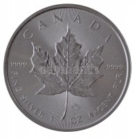 Kanada 2006. 5$ Ag 'II. Erzsébet' T:1 Canada 2006. 5 Dollars Ag 'Elisabeth II' C:UNC