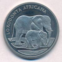 1986. '30 éves a WWF / Afrikai elefánt' fém emlékérem 'HUGUENIN' jelzéssel (38mm) T:1- (eredetileg PP) 1986. 'WWF - 30 years / African Elephant' metal commemorative medal with 'HUGUENIN' makers mark (38mm) C:AU (originally PP)