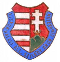 1945-1948. 'Kiskunhalasi Állami Szilády Áron Gimnázium' zománcozott iskolajelvény (37x38mm) T:2 tűhiány