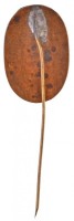 1947. '30 éves a Szovjetunió' zománcozott fém kitűző (14x21mm) T:2