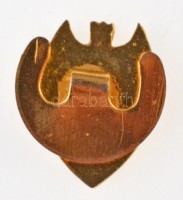 DN 'Valencia CF' zománcozott fém gomblyukjelvény (15x17mm) T:1-