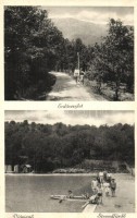 Diósjenő, erdő, strandfürdő