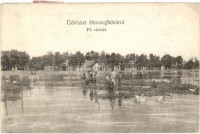 Hercegfalva (Mezőfalva), Fő részlet magas vízálláskor (mocsár?), Németh György kiadása (EK)