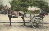 Nyíregyháza, Taligás (EK)