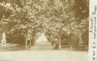 1901 Versec, Werschetz, Vrsac; Városligeti sétány szobrokkal / park promenade with statues. photo