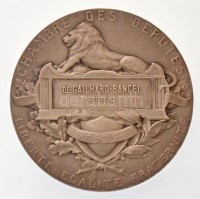 Franciaország 1919. 'Répvbliqve Francaise / Chambre des Députés - de Gailhard-Bancel, Ardeche (Francia Köztársaság / Képviselőház - de Gailhard-Bancel, Ardeche megye)' peremén jelzett Ag emlékérem. Szign.: Léon Déschamps