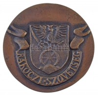 DN 'II. Rákóczi Ferenc 1676-1735 / Rákóczi Szövetség' kétoldalas, öntött Br emlékérem (79mm) T:2