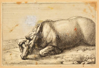 Adam-François van der Meulen (1632-1690): Fekvő ló. Rézmetszet. Jelzett a dúcon. Javításnyommal / Laying horse Engraving. With mark of repair. 25x17 cm