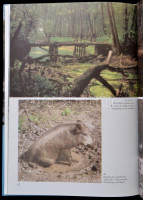Alexay Zoltán: Szigetköz. Bp.,1994, Interpress-Adwest. Kiadói kartonált papírkötés.