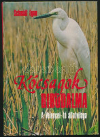 Schmidt Egon: Kócsagok birodalma. A Velencei-tó állatvilága. Bp.,1980, Natura. Kiadói kartonált papírkötés, jó állapotban.