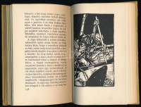 Hemingway, Ernst: Az öreg halász és a tenger. Fordította: Ottlik Géza. Kondor Béla egészoldalas illusztrációval. Bp., 1962, Magyar Helikon. Kiadói félbőr-kötésben, kissé kopott, kissé foltos borítóval. Megjelent 2050 példányban.