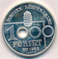 1993. 1000Ft Ag 'Labdarúgó VB - Vetődő kapus' T:1 (eredetileg PP)Adamo EM132