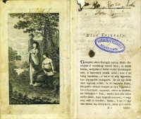 A bujdosó leányka.
