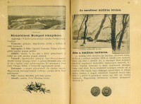 Budapest és az ezredéves kiállítás. (Képes utmutató.)