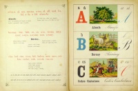 Nagy A-B-C-és könyv. Képes könyv gyermekek számára. 24 szinezett csinos képpel. olvasmányokkal és verses talányokkal. [Kötéstáblán: Nagy díszes képes ABC.]