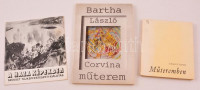 Vegyes művészeti könyvtétel, 3 db: Horváth György: Bartha László. Corvina Műterem. Bp.,1978, Corvina. Kiadói papírkötésben. Tüskés Tibor: Műteremben. Pécs,1978,Jelenkor. Kiadói kartonált papírkötés, intézményi