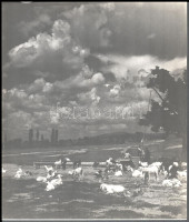 1965 Klell Kálmán (1897-1980): Alföld, hátoldalon feliratozott fotó, 30×26 cm