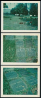 Vadnay László, a Hacsak és Sajó szerzőjének sírja, 4 db fotó, 9×11 cm