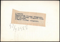 cca 1950-1960 Magyar ifjúsági labdarúgó válogatott, fotó, hátoldalon feliratozva, 13×18 cm