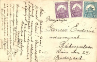 1930 Abaújvár, Falu ünnep, csoportkép, photo (EK)