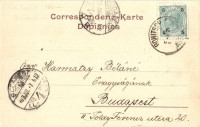 1903 Rogaska Slatina, Rohitsch-Sauerbrunn; Villa Moller. R. Mosinger 766.