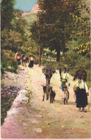 1912 Seljaci iz Grblja kod Kotora / Landleute aus Zuppa bei Cattaro / Montenegrin folklore, peasants from Grbalj (near Kotor) (fa)